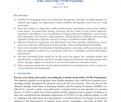 Assessing the impact and policy responses in support of private-sector firms in the context of the COVID-19 pandemic
